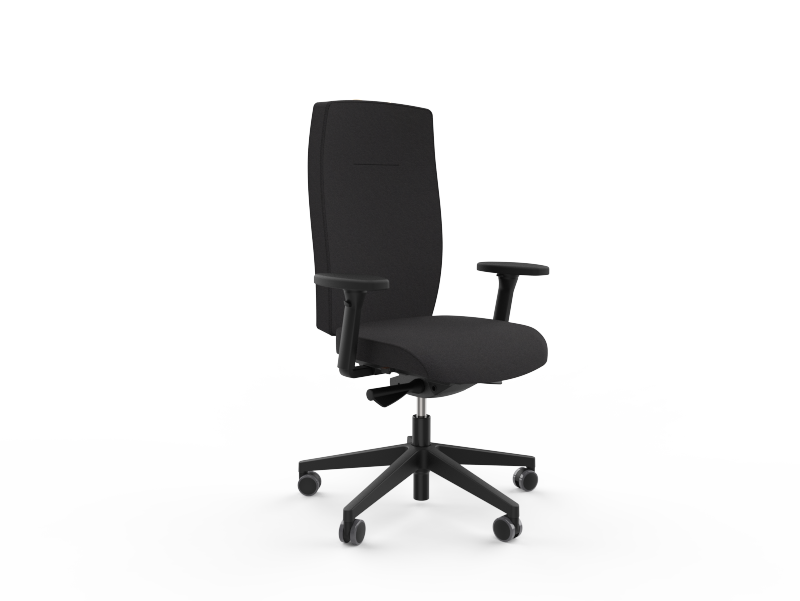 Siège ergonomique ANDUZE