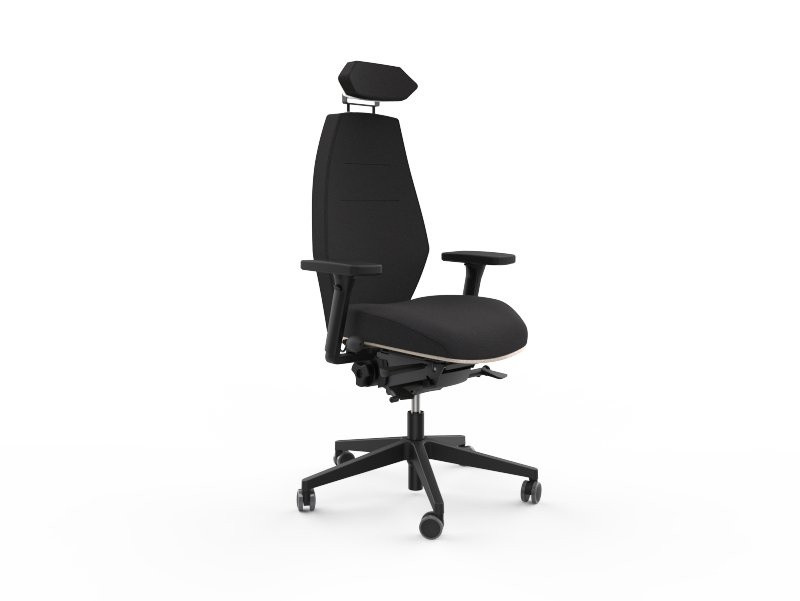 Siège ergonomique ESPEROU