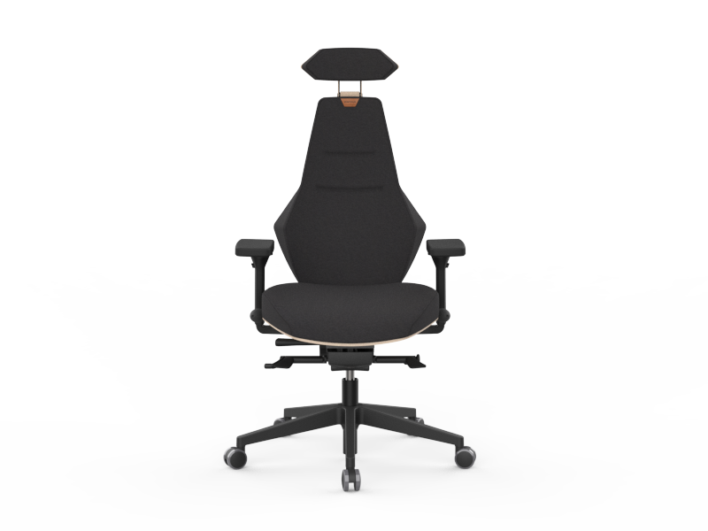 VENTOUX ergonomic chair