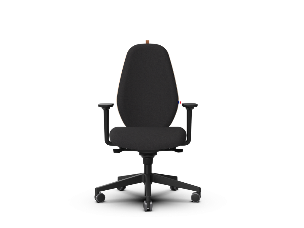 FLORAC Ergonomic chair